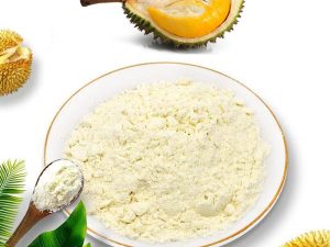 Durian Powder